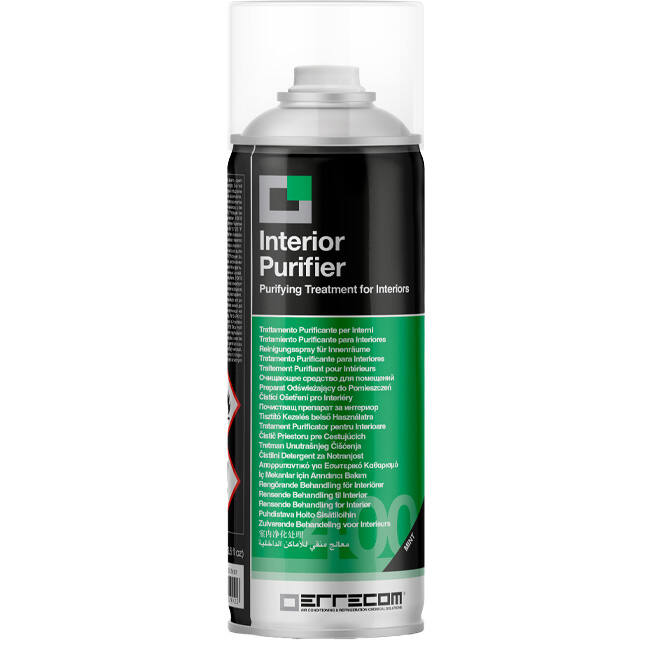 Interior Purifier - Luftrenande behandling - Mint - 400ML